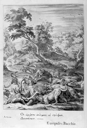 Actaeon muuttui polttareksi ja koirat söivät sen vuonna 1655