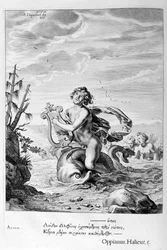 Delfiinin pelastama Arion, 1655
