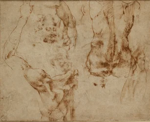 Nude Studies, c1490-1560