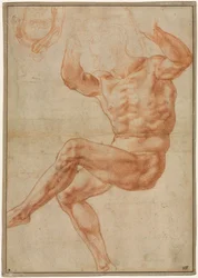 Tutkimus alastonnuorille profeetta Daniel rectosta, 1510-1511.