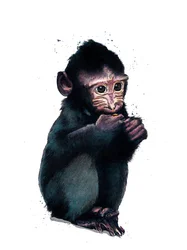 Baby Macaque on White, 2020