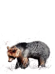 Karhu valkoisella, 2020