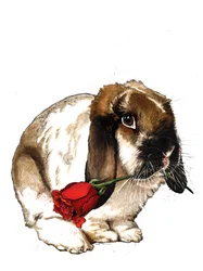 Rakkauspupu valkoisella, 2020
