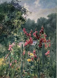 Hollyhocks