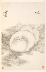 Kissa ja perhonen, 1788.