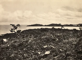 Imperiumin rakentaminen fasistisella aikakaudella: Tanajärvi. Etiopia, 5.9.1936 (m/w kuva)