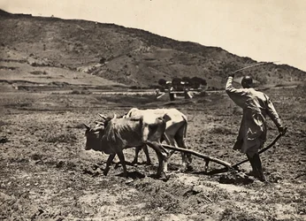 Imperiumin rakentaminen fasistisella aikakaudella: altopian kyntäminen, 09.05.1936 (m/v kuva)