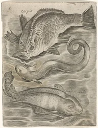 Studieblad met drie vissen Fish live -kuvakkeet (sarjan nimi)