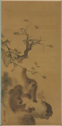 Apinat kalliolla, 1615-1868.