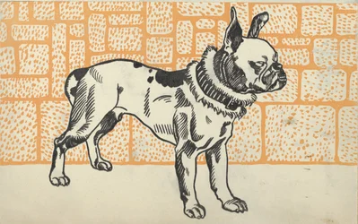 Pitbullterrieri, 1912.