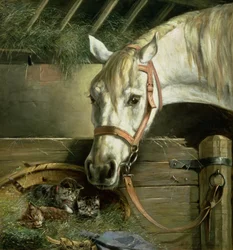 Hevonen ja kissanpennut, 1890