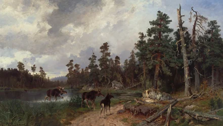 Hirvi ja metsästäjät mäntymetsässä