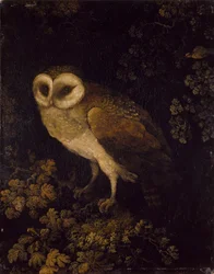 Pöllö, 1780-90