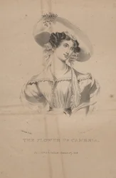 Kambrian kukka, litho C.G. Lapset, 1830