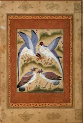 Linnut. Pienoisguassi moghole-koulusta. 1590-1600. Pariisi, Guimetin museo, Aasian taiteen kansallinen museo