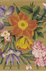 Sivu Pietarin albumista, Intia, 1727 (väri kultapohjalla)