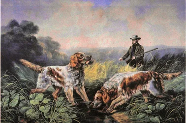 American Field Sports: Haku