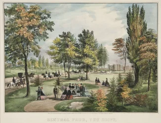 Central Park - Drive