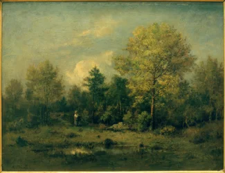 Maisema, jossa on lampi metsässä