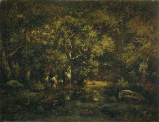 Fontainebleaun metsä