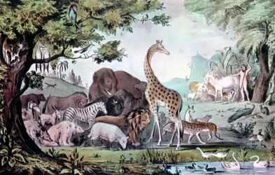 Adam nimeää olentoja, 1847.