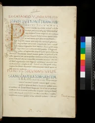 Ms 394,1. Plinius Vanhin, Historia naturalis, f.1r. Valaistu nimikirjain [P] valkoisella viiniköynnösvarren koristelulla (viimeistelemätön), Napoli, 1400-luvun puoliväli, n. 1442 (pergamentti)