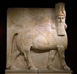 Siivekäs härkä hovista VIII kuningas Sargon II:n palatsista, Khorsabadista, 721-705 eKr. (kipsi?)