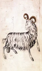 Sloane 3983 f3v Horoskooppimerkki Kauris (vellum)