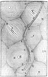 Maailmankaikkeus, Rene Descartesin kirjasta 