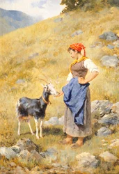 Paimentar, kirjoittanut Niccolo Cannicci (1846-1906)