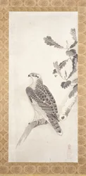 Hawk kyydissä oksalla (muste paperille)