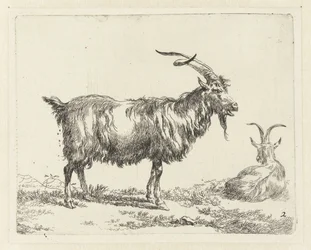 Kaksi vuohta Geiten (sarjan nimi) Studio and Art of Nicolai Berchem (sarjan nimi) herättää elämään ja painaa veteen voimakkaalla ilmalla eläimet