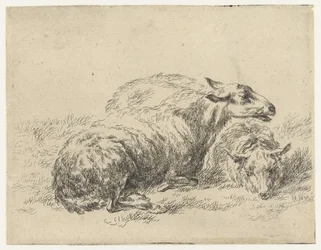 Twee ligende schapen Schapen (sarjan nimi) Studio and Art of Nicolai Berchem (sarjan nimi) herättää elämään ja painaa veteen voimakkaalla ilmalla eläimet