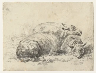 Twee Ligende Schapen lampaat (sarjan nimi) Studio and Art of Nicolai Berchem (sarjan nimi) herättää elämään ja painaa veteen voimakkaalla ilmalla eläimet