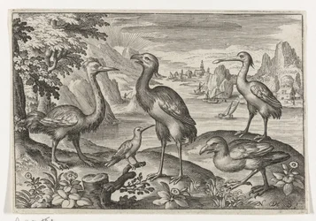 Crown Crane kahden strutsin välissä Linnut ja hyönteiset (sarjan nimi)