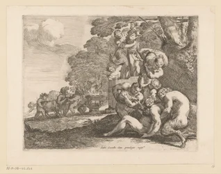napanuora
