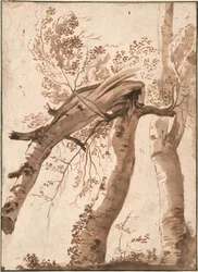 Kaksi hopeakoivua, edessä yksi kaatunut, n. 1629