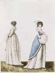 Iltapäivämekot viikunat. 327 ja 328 Nikolaus Heideloffin teoksesta `Gallery of Fashion
