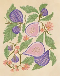Violetti viikuna ja kukat