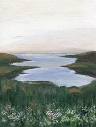 Näkymä Wildflower Coastille