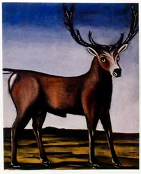 Hirvi