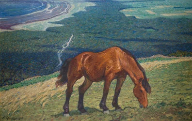 laiduntava hevonen