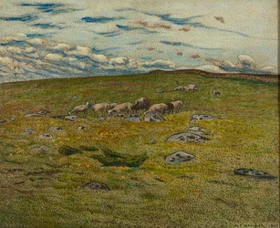 Pastando Sheepfinnish