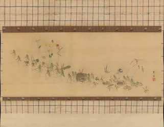 Hyönteisten kulkue, 1800-luku.