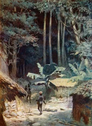 Melanesian metsän syvyydessä, 1908