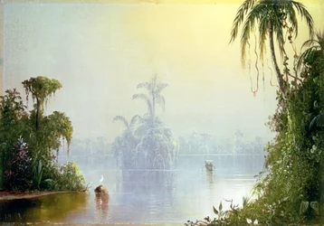Trooppinen sameus, 1879