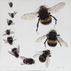 Bombus, 2015 (akryyli gessoidulle puulle)