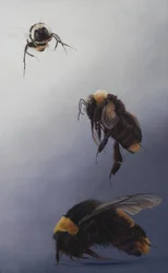 Bombus lento 2, 2011 (akryyli puulle)