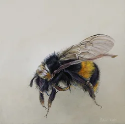 Bombus terrestris 1 (a), 2008 (akryyli puulle)