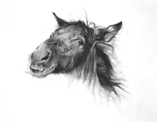 Colt, 2002 (hiili Fabrianon paperille)